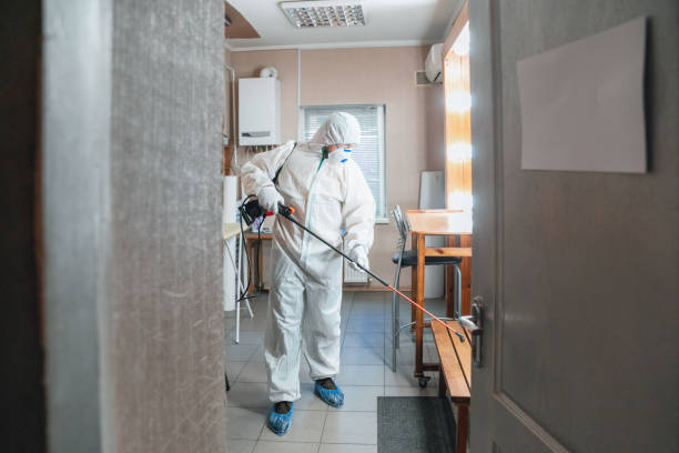 Best Mold Remediation for Vacation Homes  in Flowery Branch, GA