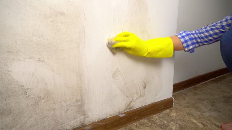 Best Post-Construction Mold Inspection  in Flowery Branch, GA